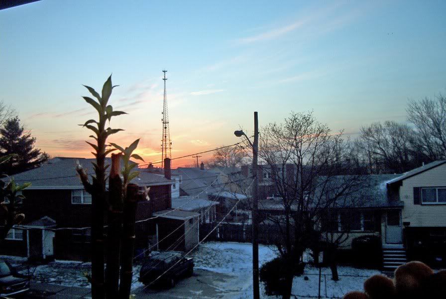 IM003461_edited.jpg