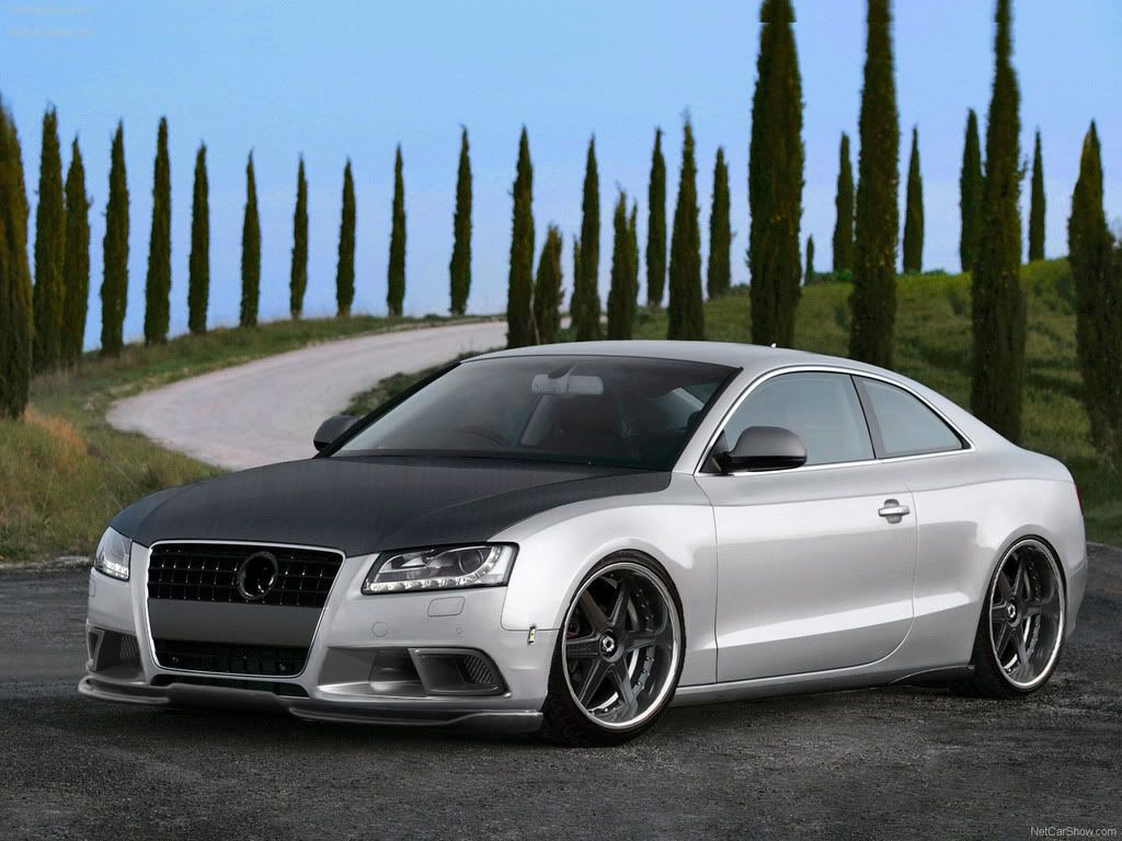 Audi-A5_3_0_TDI_quattro_2008_160-1.jpg