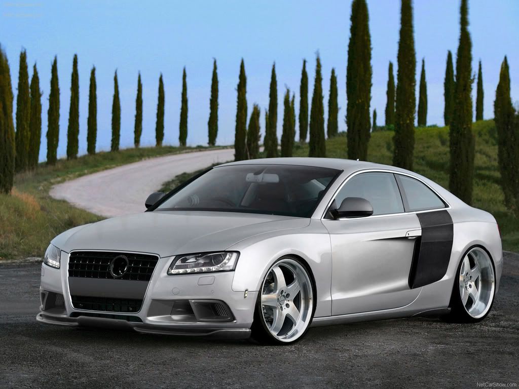 Audi-A5_3_0_TDI_quattro_2008_160-5.jpg