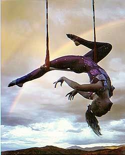trapeze artist Pictures, Images and Photos