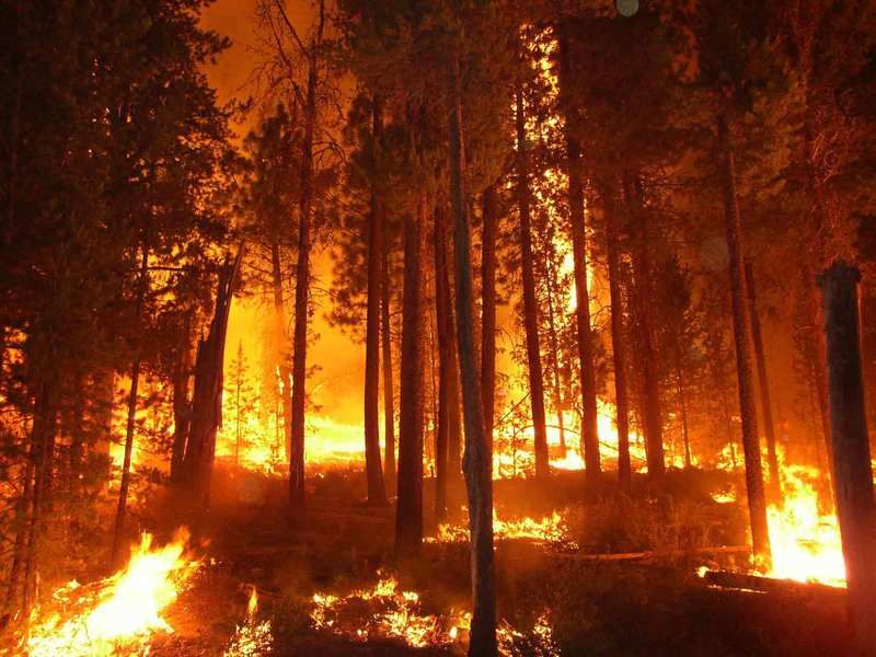 wildfire photo: wildfire wildfire.jpg