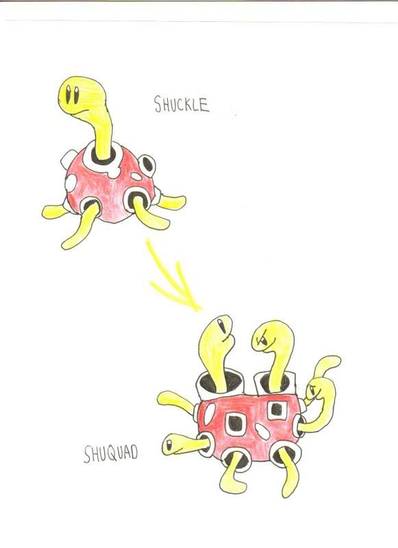 shuckle evolve