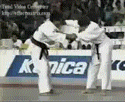 judo_throw_-_worlds_level.gif