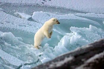 USS Honolulu with polar bear in Arctic Circle