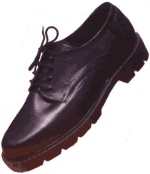 Bush Shoe Pictures, Images and Photos