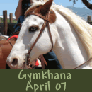  Gymkhana Spring