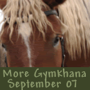 more Sept Gymkhana