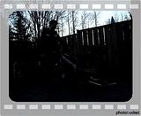 [Image: th_MOV00406.jpg]