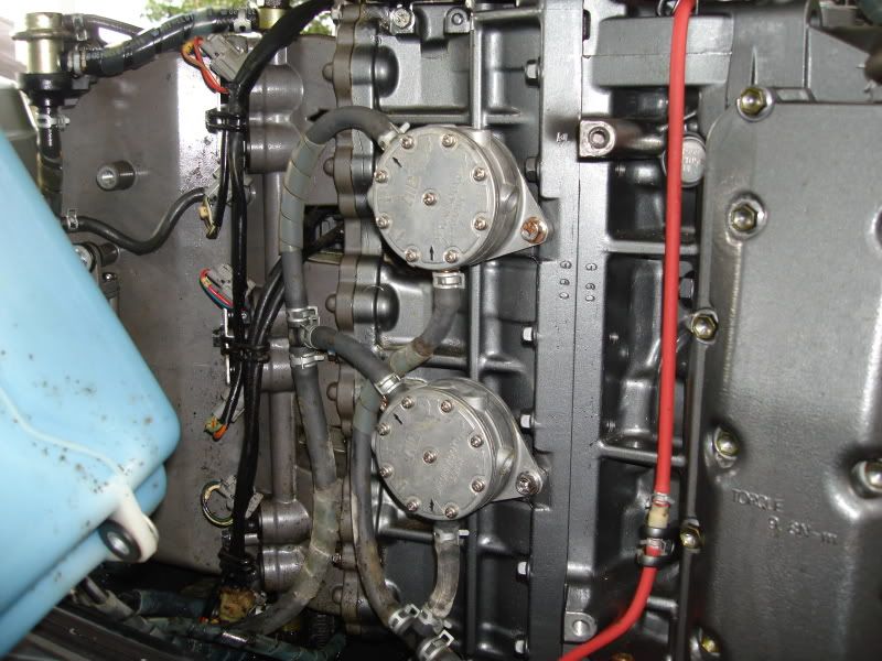 Low Pressure Fuel Pump rebuilds on a Suzuki 150 The Hull Truth