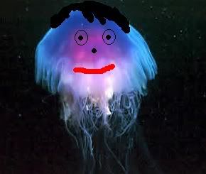 Smiling Jellyfish