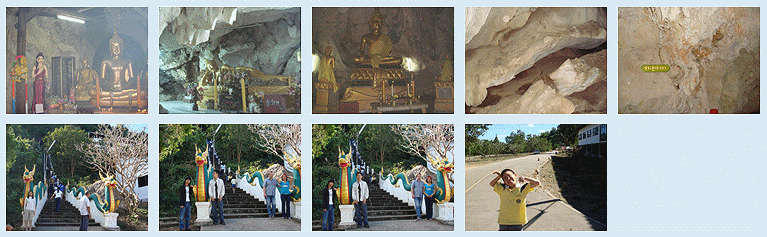 temple that has monkeys