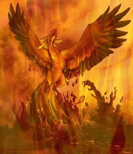phoenix,flame,fire bird,rise