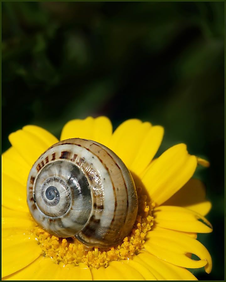 Fotografie