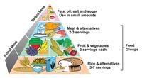 Healthy+diet+pyramid+singapore