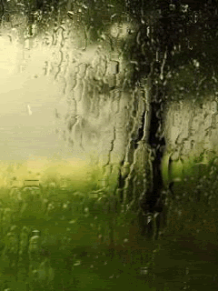 rains Pictures, Images and Photos